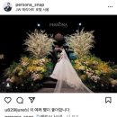 헤이원스튜디오 | [본식스냅] 잠실 아펠가모 본식 스냅 고르기-헤이원스냅