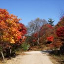 심천치유자연휴양림 이미지