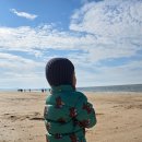 (주)태하 | 대천스카이바이크 27개월 태하랑 대천여행