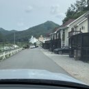 펫 아일랜드 | 춘천 펫아일랜드 애견동반펜션 이용 후기 :)