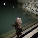 삼포방파제 | [경남 창원] 낚린이 창원낚시포인트 &#34;삼포항방파제등대&#34; 방문 (루어낚시)