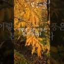 가을 바람이 슬프게 울었네" The autumn wind moans mournfully- Bar 드미트리 흐보로스톱스키 이미지