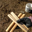 개나리농장 이미지