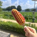양서면 자전거 도로(두물머리길좌측) | 경기도 양평 내돈내산 맛집 두물머리 연핫도그 : 매운맛 핫도그 후기, 메뉴, 주차 정보