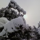 풀잎 위의 이슬 이미지