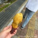 4 | 내돈내산 투데이 라섹 후기 4일차~일주일 후기