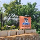 멍스 컨테이너 이미지