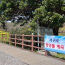 중문올레 이미지