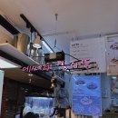 에쎄레젤라또 | 을지로 명동성당 젤라또 추천 - [에쎄레 젤라또]쌀 젤라또와 청귤 젤라또가 맛있었던 곳 내돈내산 후기