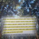 제도권 밖 자녀와 함께 성장하는 부모되기 | 돈의 방정식 책 | 모건 하우절 책 후기 | 사랑한다면 꽃길이 아닌 굳은살을 선물하자 추천 리뷰 핵심 요약