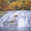 자유온천 이미지