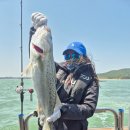 씨엔텔 민박 이미지