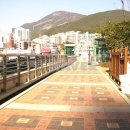 정보써브공인중개사사무소 이미지