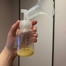 (주)포레나무병원 | 산본산후조리원 맘스포레산후조리원 솔직 이용후기