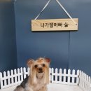 진영샵