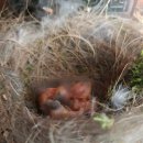 둥지태권도체육관 이미지