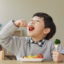 대화키즈태권도 이미지