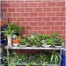 울릉(도동)민박 이미지