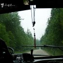 (주)백두산천지인 이미지