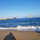 동해바다 이미지