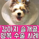 가인동물병원 이미지