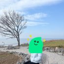 제네시스카페 이미지