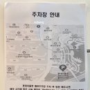 팰리스1470 | 수완지구 미용실 이네즈헤어, 붉은기 없는 톤다운염색 후기