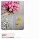 자유시장 | 부산 꽃시장 진플라워 범일동 자유도매시장 웨딩촬영후기