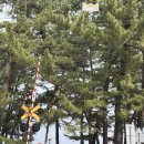 등명해변(철길옆) 이미지