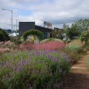 바람새마을 이미지