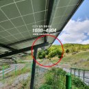 녹전로(녹전면) | [경북cctv]안동시 녹전면 원천리 태양광발전소cctv 설치