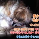 제비1리 이미지