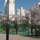 대주파크빌공인중개사사무소 이미지
