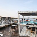 [저녁] 이집트전통벨리댄스 이미지