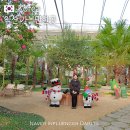 왕궁포레스트 | 전라도 익산 여행 실내 가볼만한곳 왕궁 포레스트 식물원