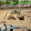 석정초등학교 네이버블로그