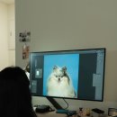 브릭샷