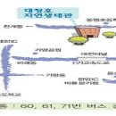 밤실지 이미지