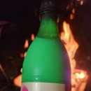 일등유통 | [막걸리 이야기, 전북 전주] 일등 전주 생막걸리 (내돈내산)