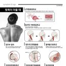 만성원광한의원 이미지