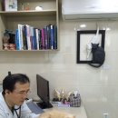 독립문동물병원 이미지