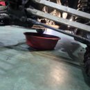 제트라인모터스 이미지