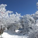 제주도 한라산등반코스 - 겨울 눈덮인 한라산 영실코스등반 ~ 어리목코스하산 이미지