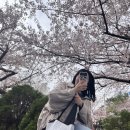 신대진아파트 208동 앞 횡단보도 | 광안리벚꽃명소/먹거리/추천음식/수영구