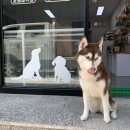 예뻐지개 이미지