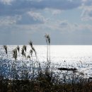 토산2리마을회관 이미지