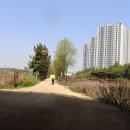 관곡공원 티스토리