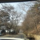 동상(남 여)경로당? | 부산 금정구 금정산성 맛집 금죽헌 서울식 소불고기 전골 솔직후기