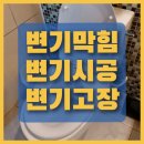 토산아델리움 이미지
