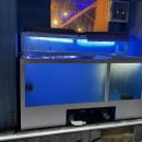 삼산상회 | 울산 삼산 미도상회 : 삼산 방어 • 울산 대방어 맛집